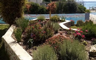 Naš vrt u podružnici Miljenko i Dobrila u Lukšiću ovih je dana pokazao svu ljepotu i raskoš