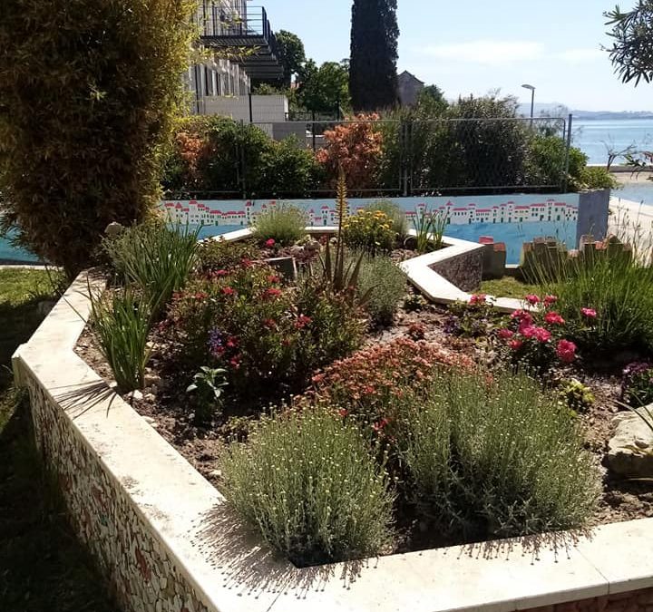 Naš vrt u podružnici Miljenko i Dobrila u Lukšiću ovih je dana pokazao svu ljepotu i raskoš